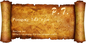 Posgay Tíria névjegykártya